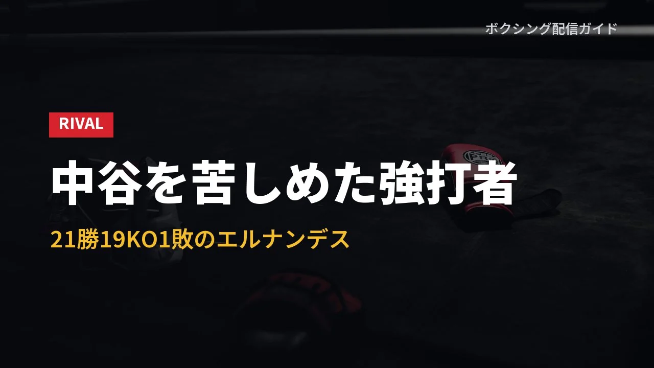 相手のエルナンデスの戦績を示すバナー