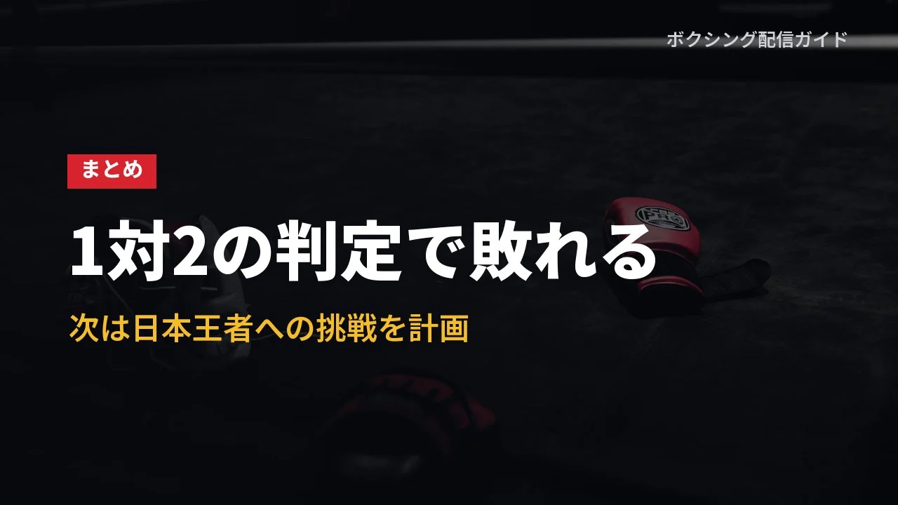 亀田京之介のエルナンデス戦のまとめのバナー