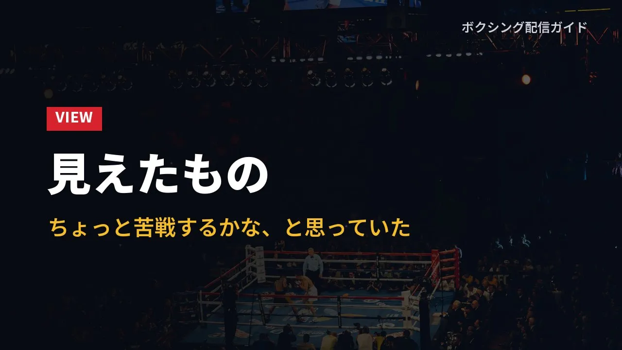 配信で見て感じたことをまとめたバナー