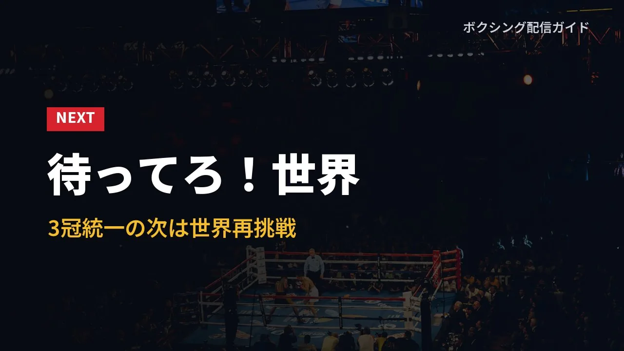 3冠統一の次は世界再挑戦であることを示すバナー