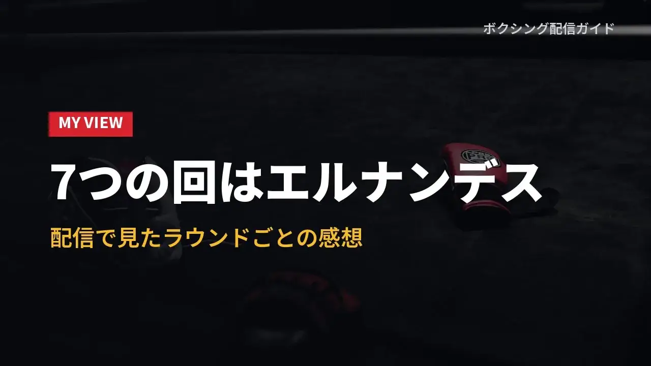 配信で見て感じたことをまとめたバナー