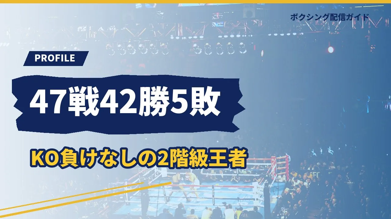 亀田和毅の戦績の概要を示すバナー